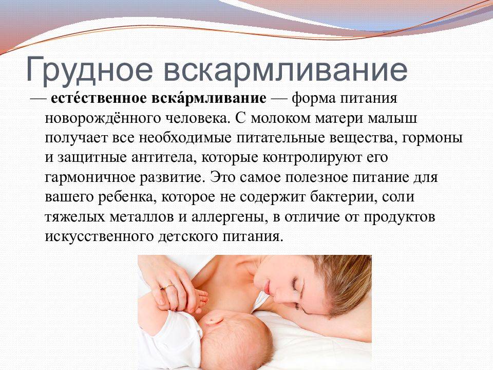 С молоком матери: 5 фактов о пользе грудного вскармливания