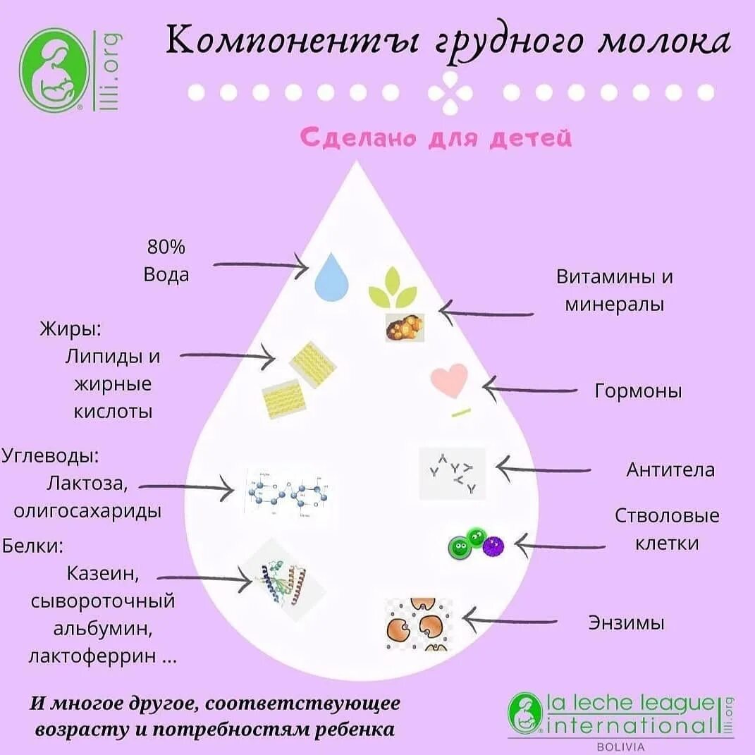 Состав грудного молока