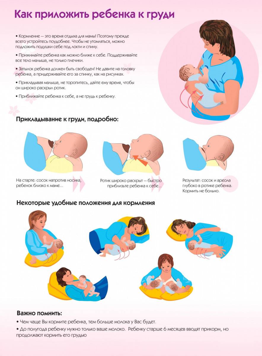 Прикладывание к груди новорожденного ребенка: правила, позы, ошибки