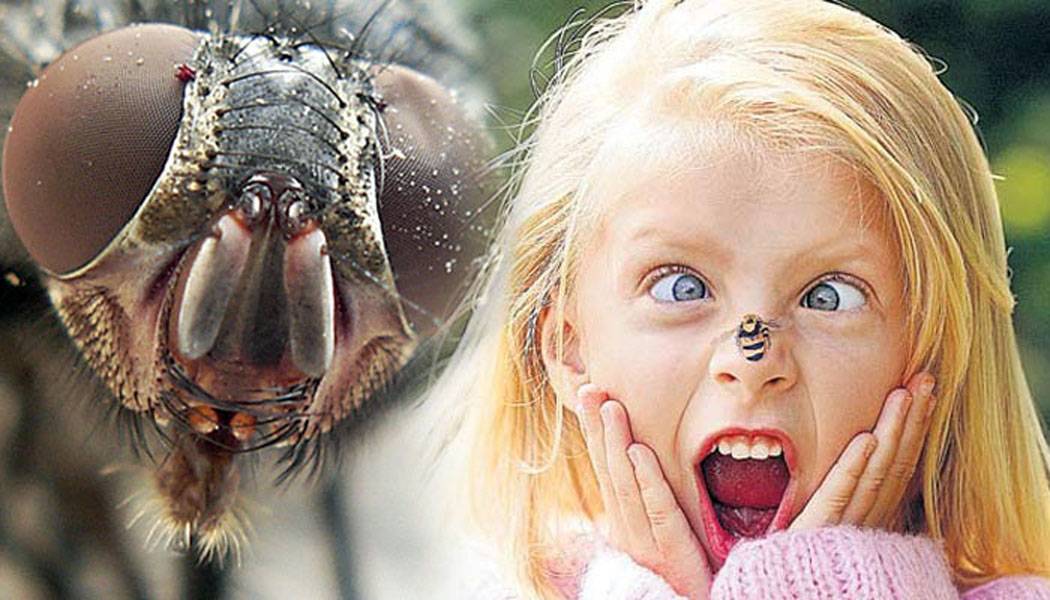 Ребенок боится насекомых