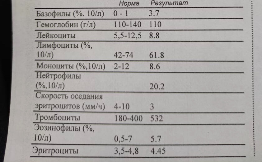 Базофилы повышены у ребёнка: 2 причины, 2 способа определения, норма базофилов в крови