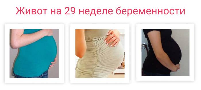 Беременность 29 неделя: советы, обзор и практические рекомендации