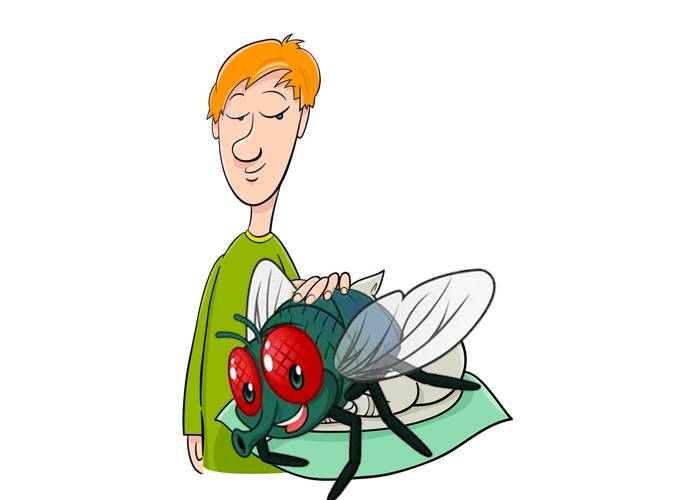 Что делать, если ребенок боится насекомых? ребенок боится мух: как ему помочь.