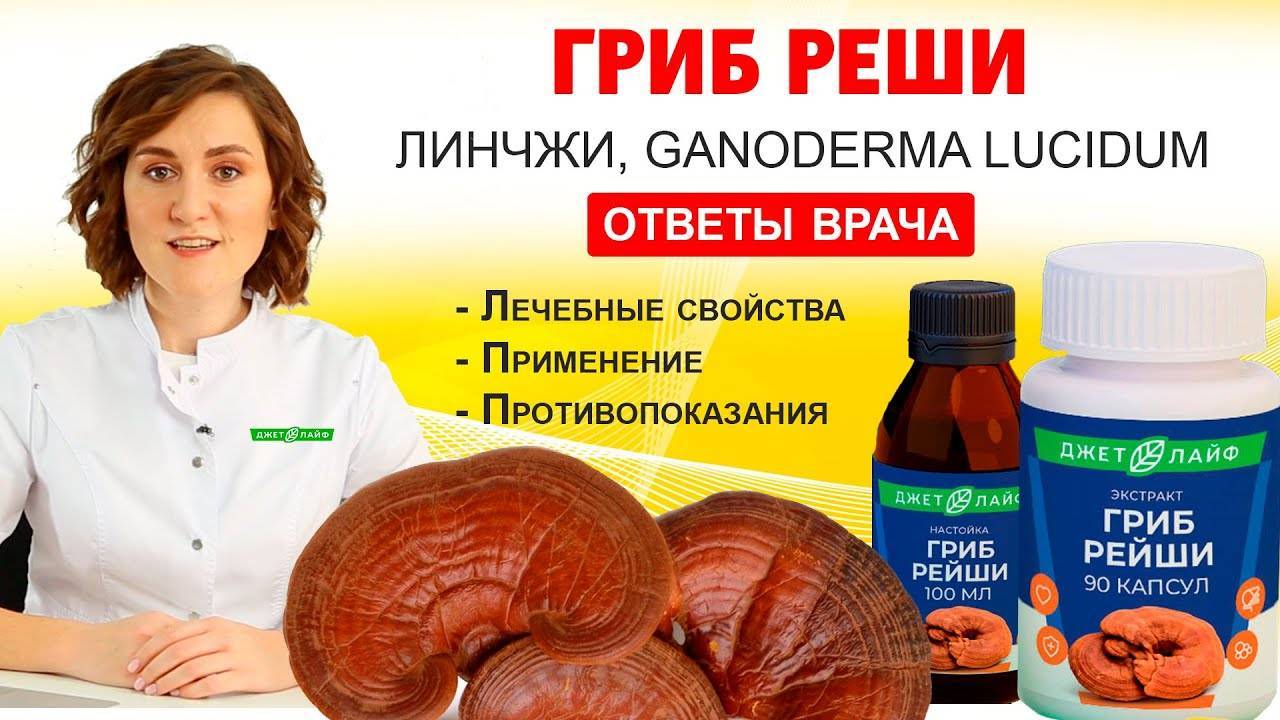 Лечебные свойства и противопоказания гриба рейши