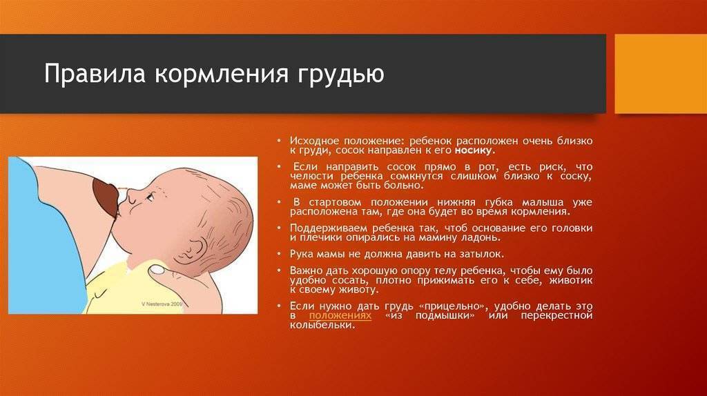 Правила кормления новорожденного грудным молоком - 6 правил