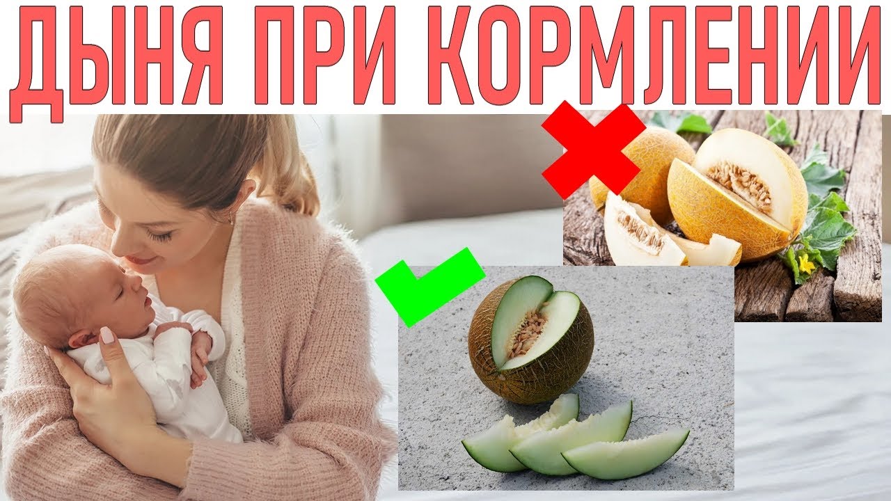 Можно ли дыню при грудном вскармливании кормящей маме, когда и в каком количестве