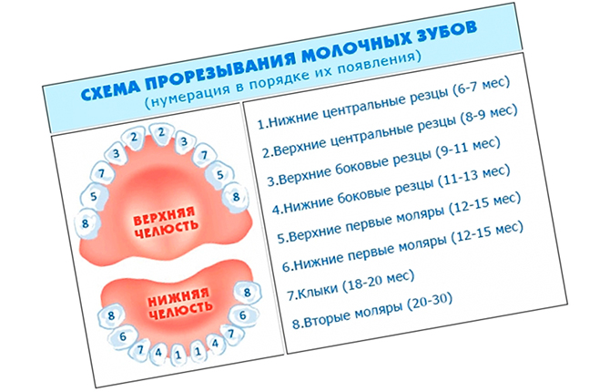 Может ли быть диарея при прорезывании молочных зубов у детей? как от неё избавиться?