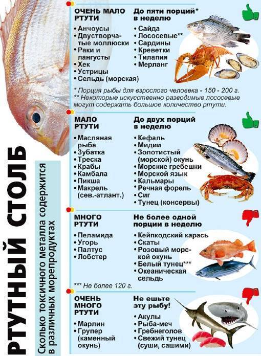 Какую рыбу можно есть кормящей маме? - ✿ «всё для мамы»