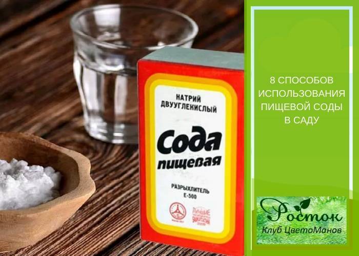 День пищевой соды. Сода пищевая. Сода для уличного туалета. Пищевая сода для уличного туалета.