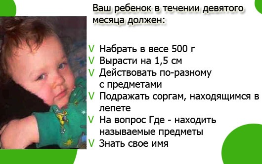 Умелки в 10 месяцев. Что должен уметь ребёнок в 9 месяцев. Что должен уметь делать малыш в 9 месяцев. Ребёнок 9 месяцев развитие. Развитие ребёнка 9 месяцев что должен уметь делать ребенок.