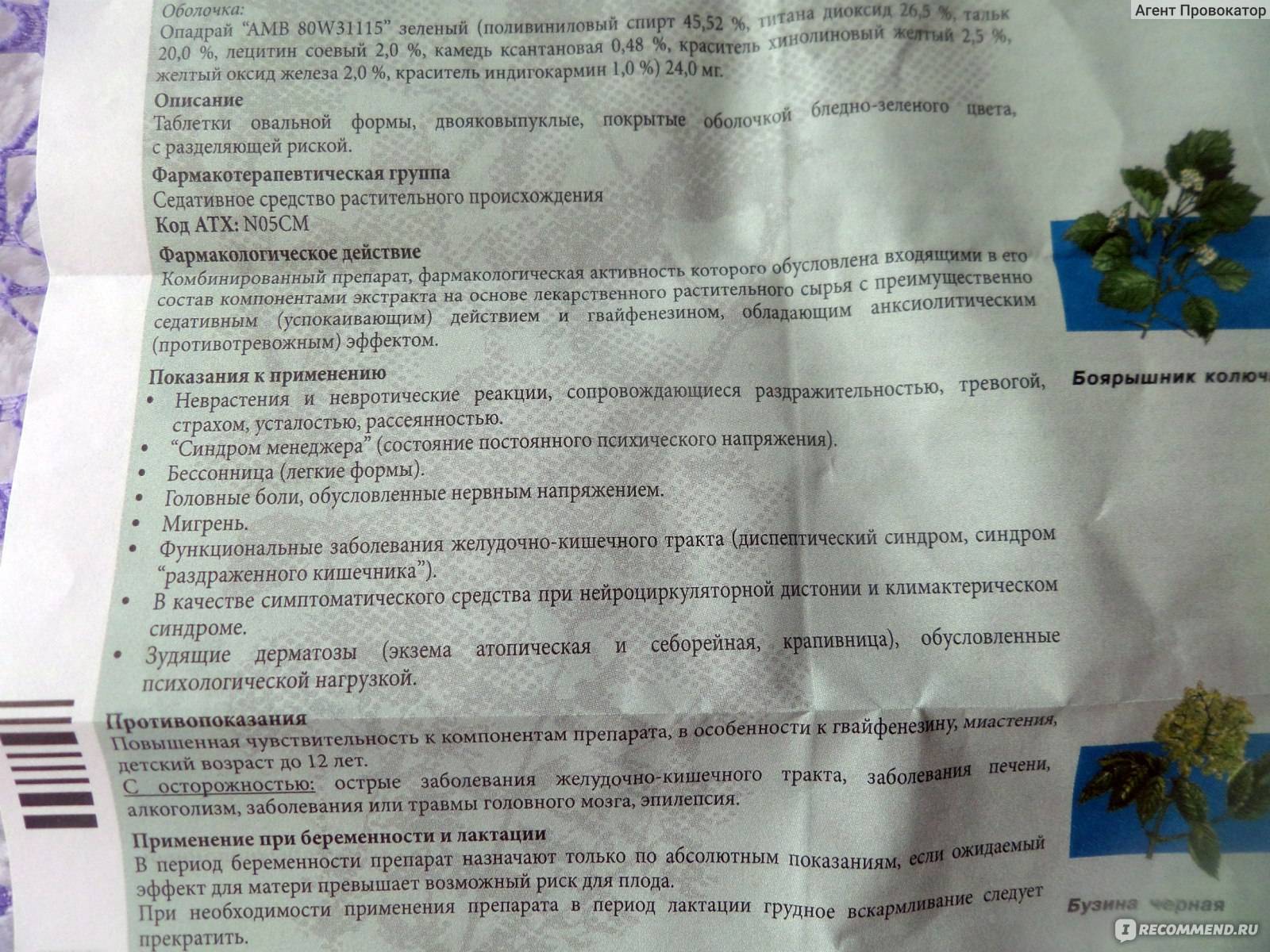 Пустырник при грудном вскармливании: можно ли пить кормящей маме, дозировка, отзывы