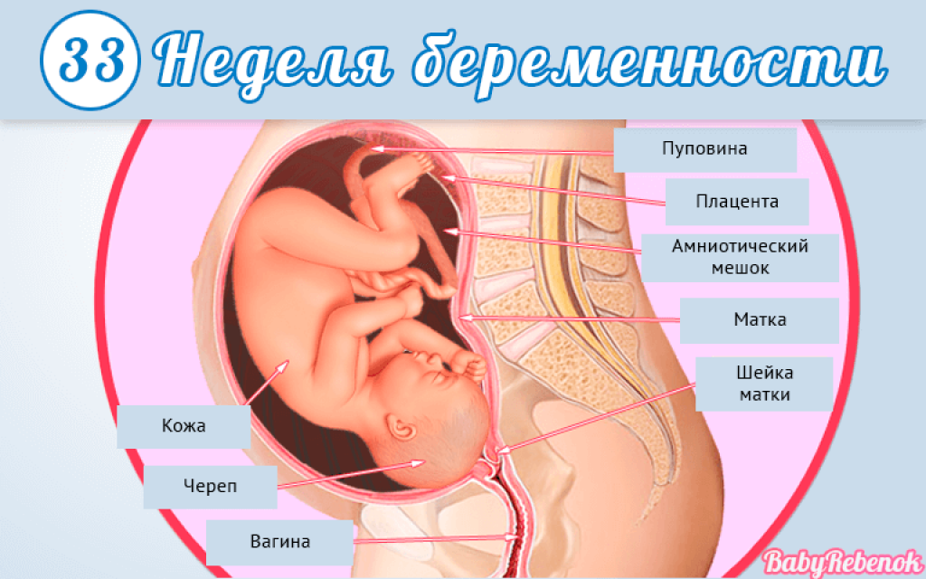 Если ребенок сильно толкается в животе на 32 неделе беременности