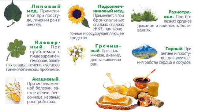 Мед, варенье, выпечка и другие сладости при грудном вскармливании