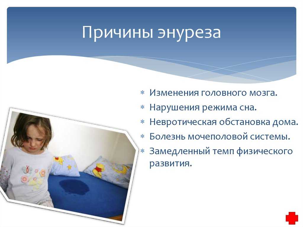 Энурез у детей - симптомы болезни, профилактика и лечение энуреза у детей, причины заболевания и его диагностика на eurolab