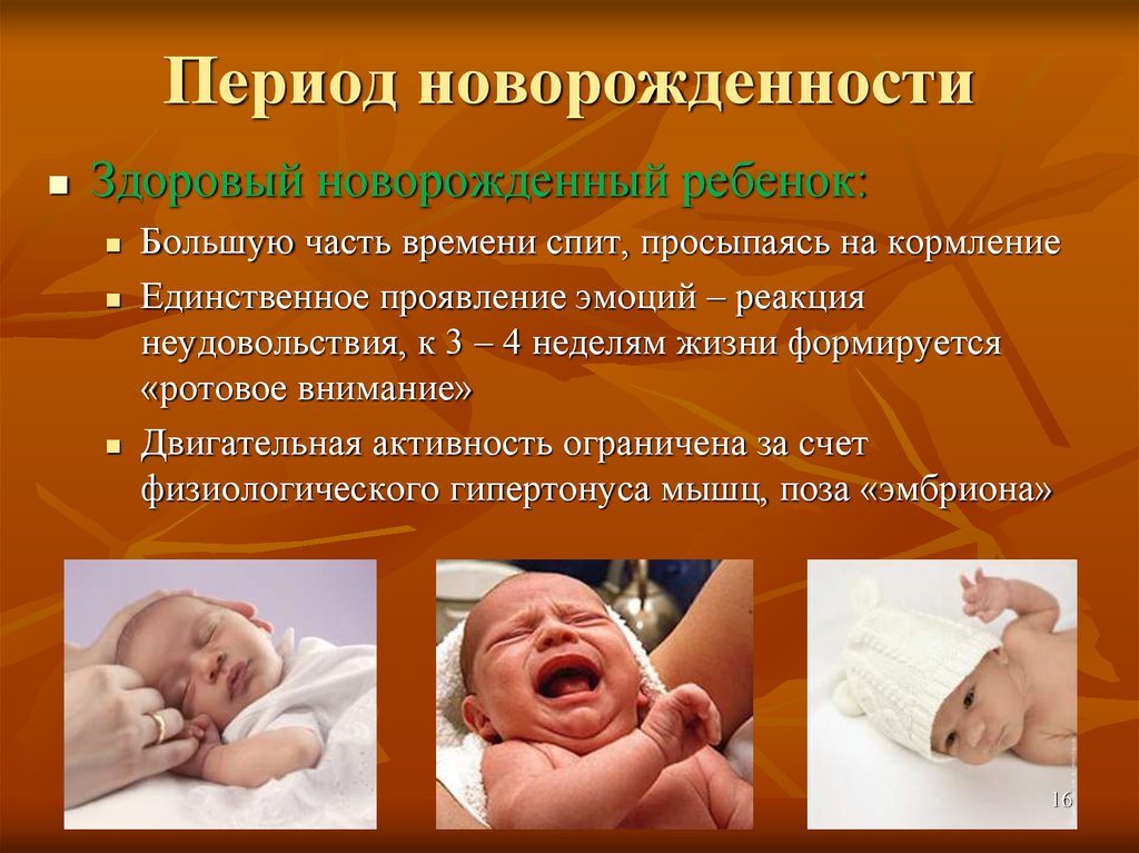 Анатомо-физиологические особенности новорожденных | обуз "родильный дом № 1" г. иваново