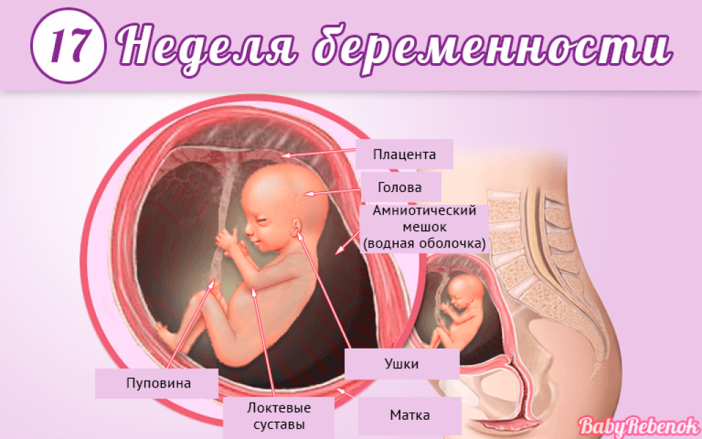 18 неделя беременности: что происходит с ребенком и мамой, вес плода, выделения, узи, как выглядит живот, шевеления