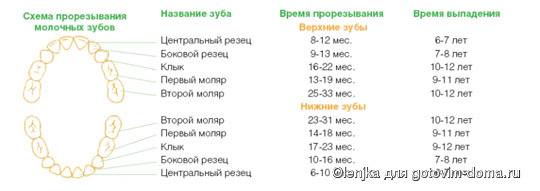 Температура при прорезывании зубов у детей: сколько дней держится?