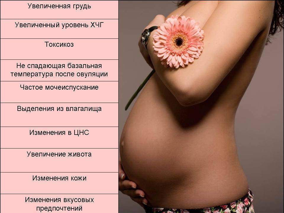 Изменения груди во время беременности | статьи о беременности – similac