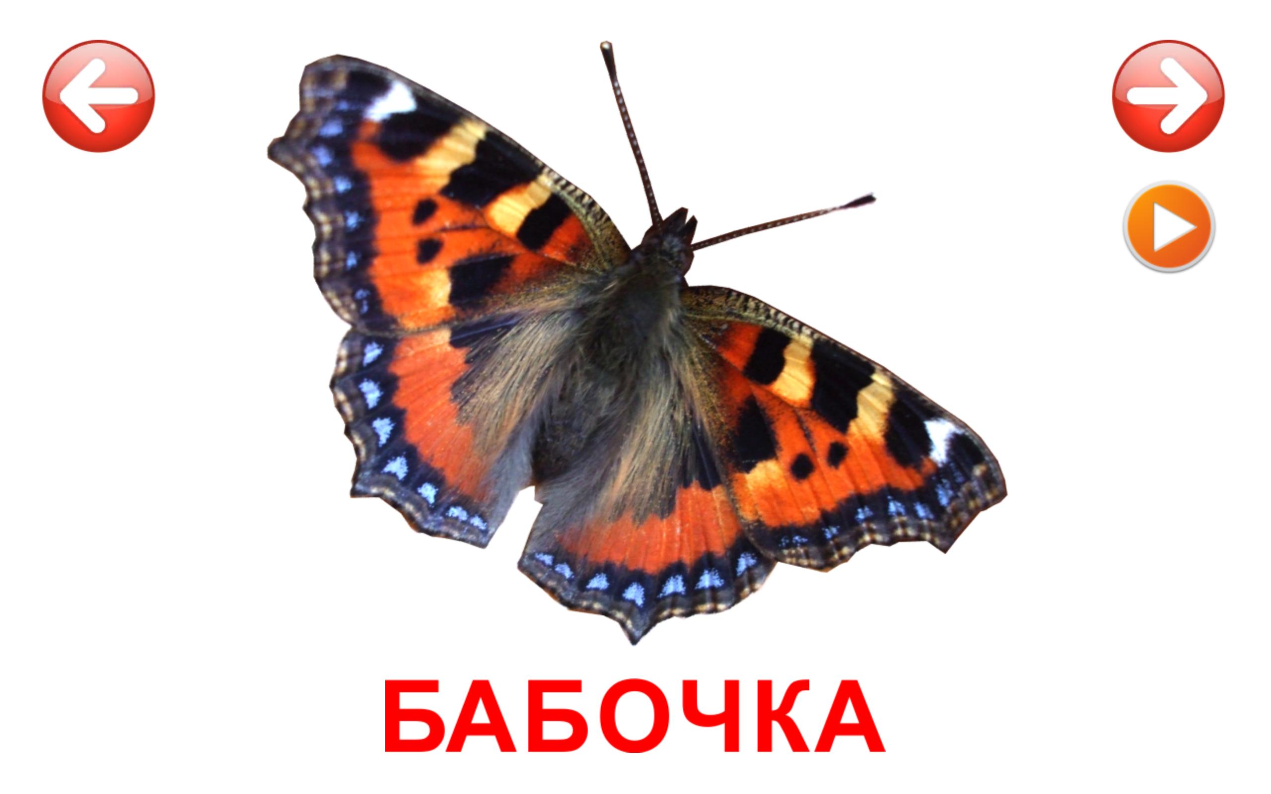 Карточки домана — скачайте пособие для развития детей с пеленок