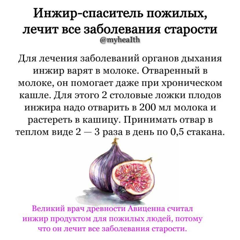 Инжир содержание. Инжир полезные свойства. Для чего полезен инжир. Инжир польза. Чем полезен инжир.