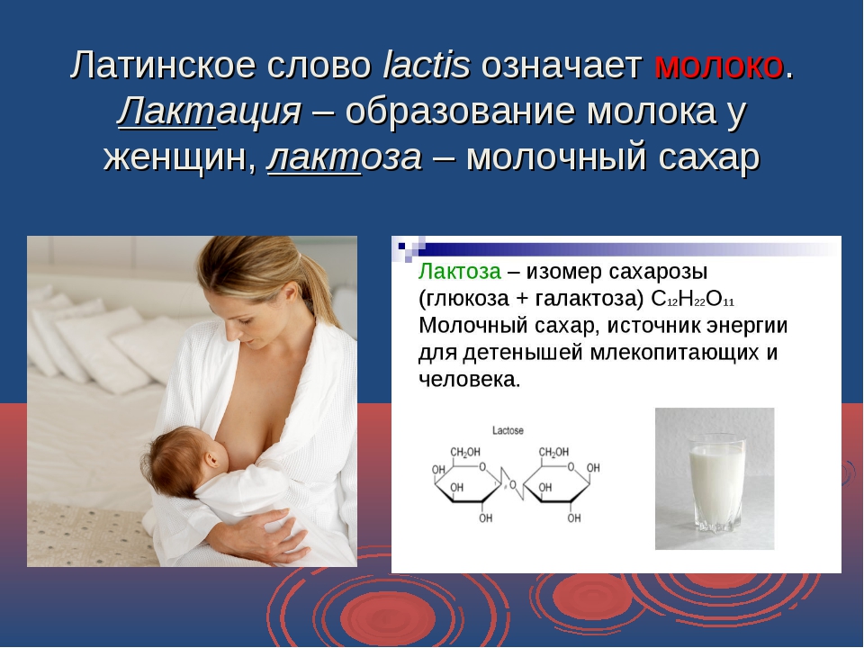 Можно ли пить молоко при грудном вскармливании | s-voi.ru