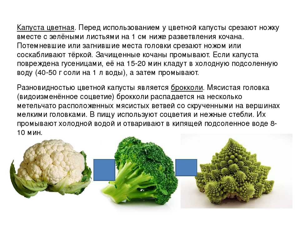 Капустные овощи таблица. Систематика капуста цветная. Обработка цветной капусты. Строение цветной капусты. Полезные вещества в цветной капусте.
