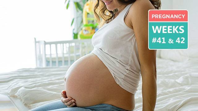 41 неделя беременности. Pregnant 41 weeks. 41 42 Неделя беременности. Pregnancy week by week.