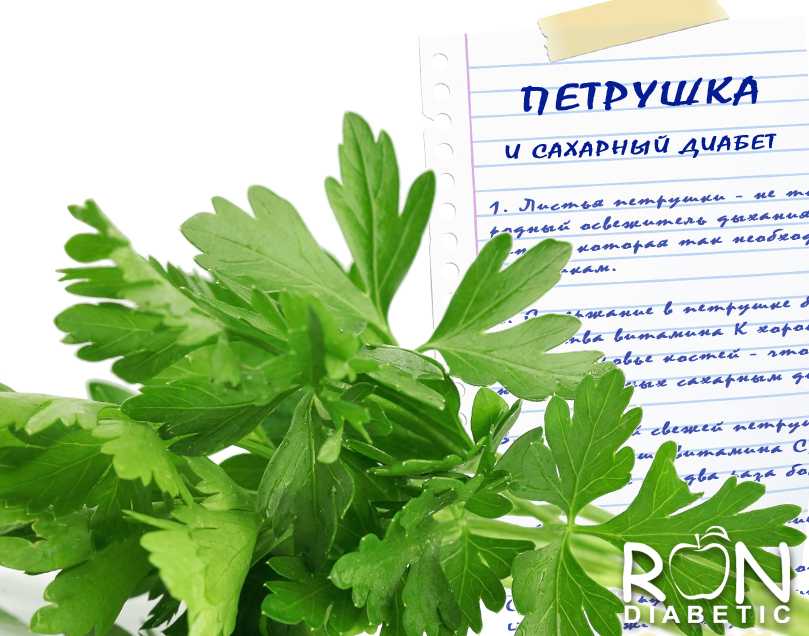 Можно ли петрушку и укроп при грудном вскармливании? - ✿ «всё для мамы»