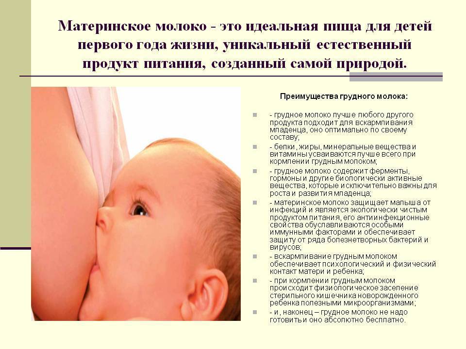 Грудное вскармливание ребенка в год