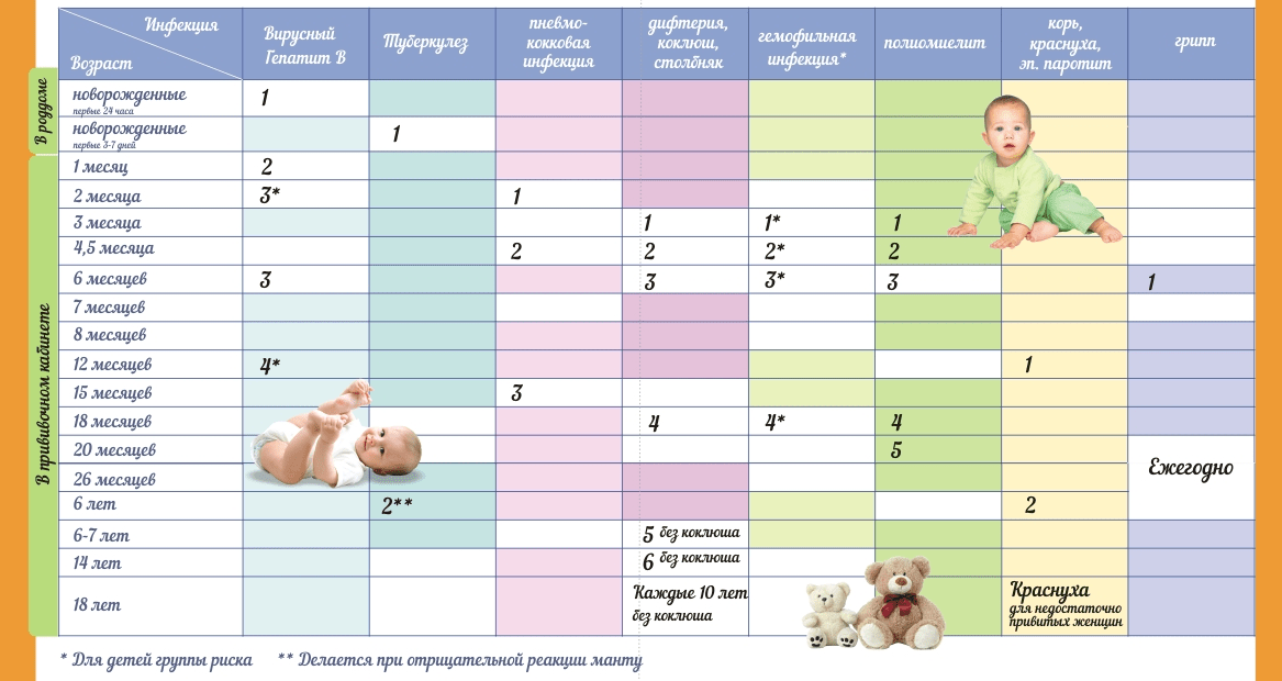План прививок для детей до года