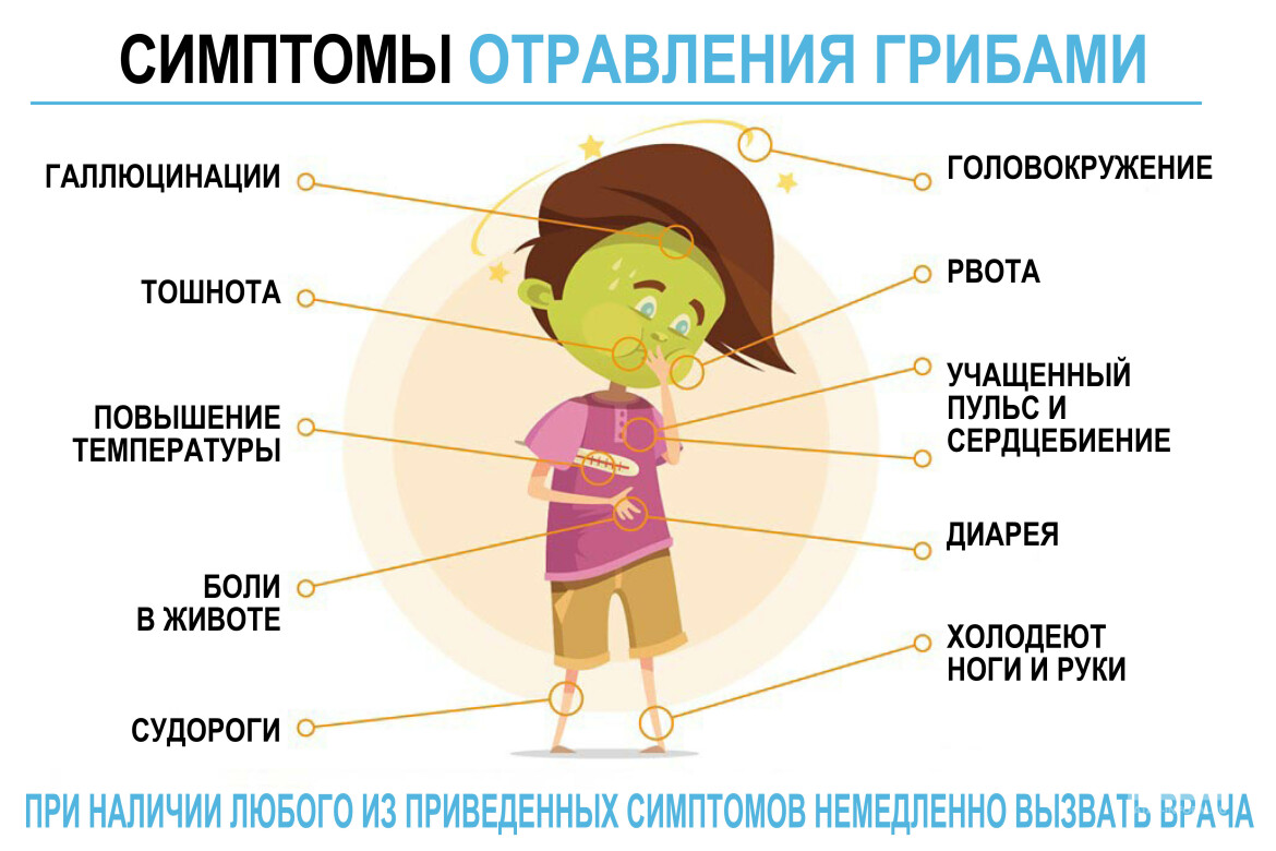Можно ли грибы детям, какие, сколько