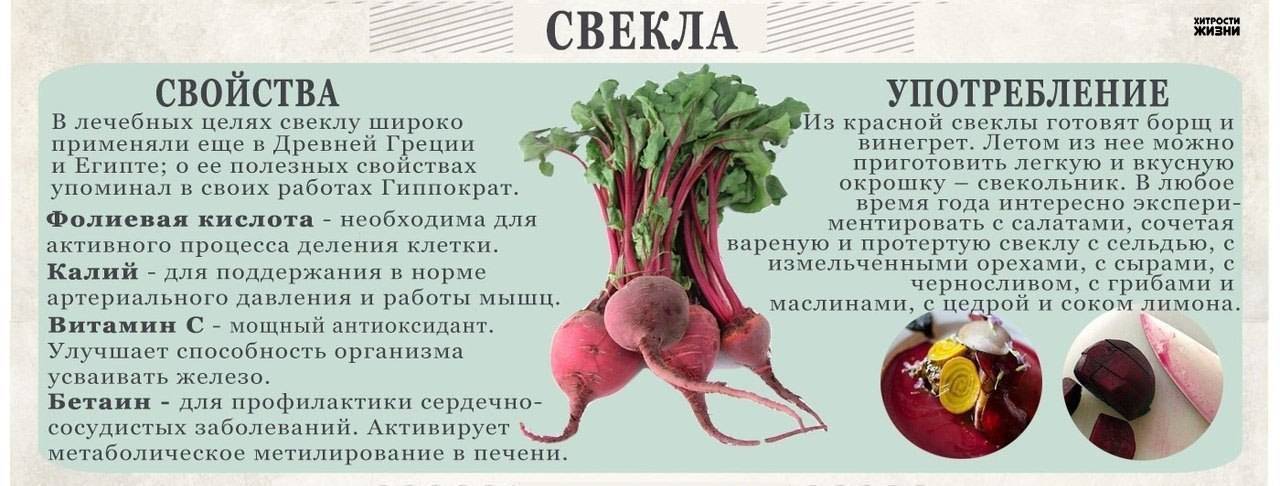 Полезные свойства свеклы во время беременности. можно ли есть свеклу на ранних и поздних сроках беременности при запорах и в других ситуациях, в каком виде кушать овощ?