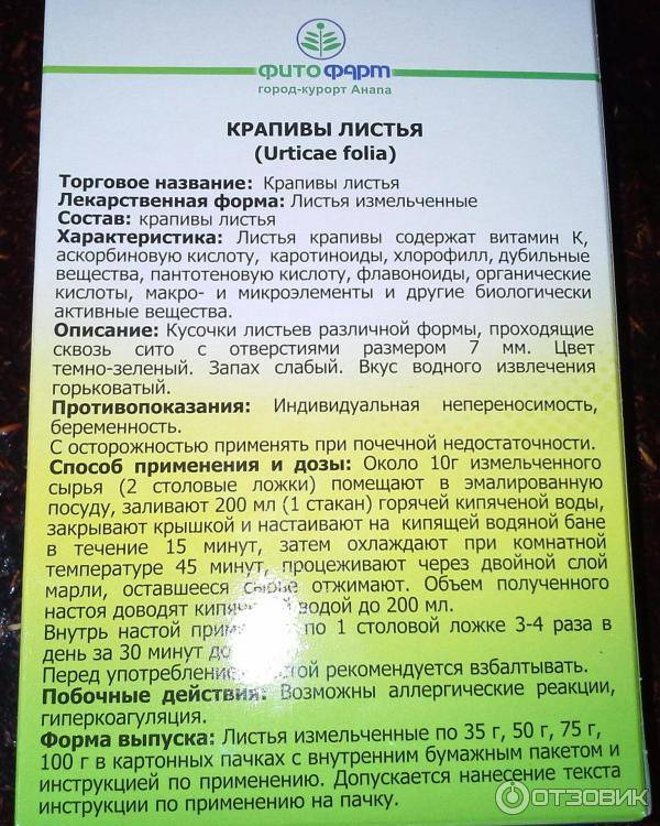 Как принимать крапиву для улучшения лактации: подсказки для кормящей мамы