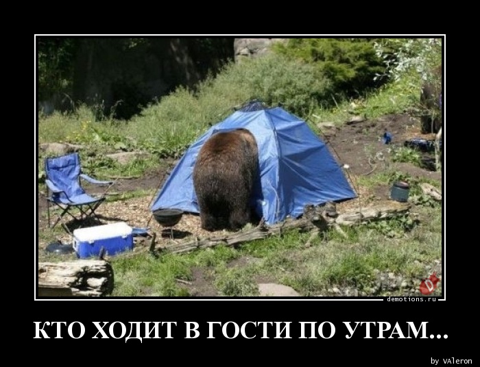 Чем можно занять ребенка, когда к вам пришли гости?