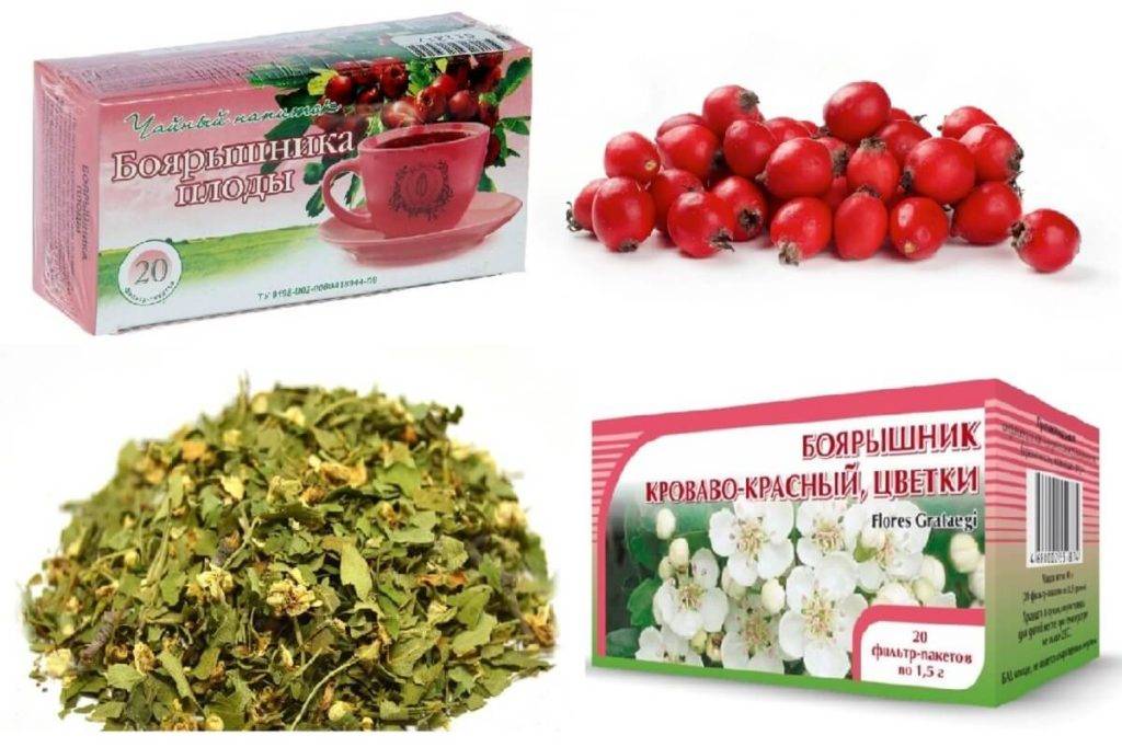 Чай из боярышника - польза и вред, как правильно заваривать плоды