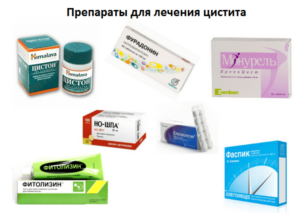 Цистит при гв: почему он возникает, можно ли продолжать грудное вскармливание, а также симптомы, диагностика и лечение болезни