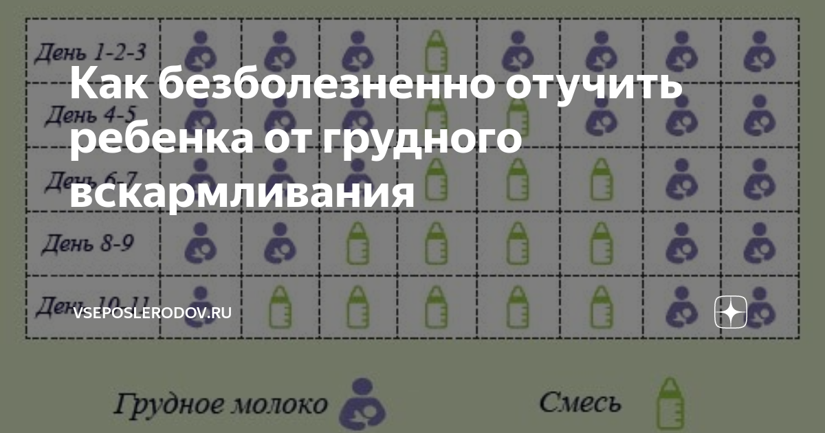 Как отучить ребенка от грудного вскармливания до и после года: когда лучше отучать и как, народные методы и медицинские, сказкотерапия и
