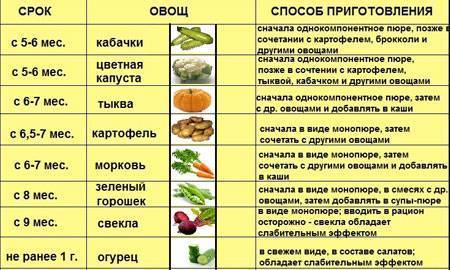 Особенности меню кормящей мамы