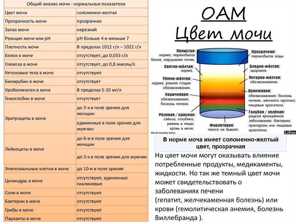 Изменение физических и химических показателей в анализах мочи при различных заболеваниях
