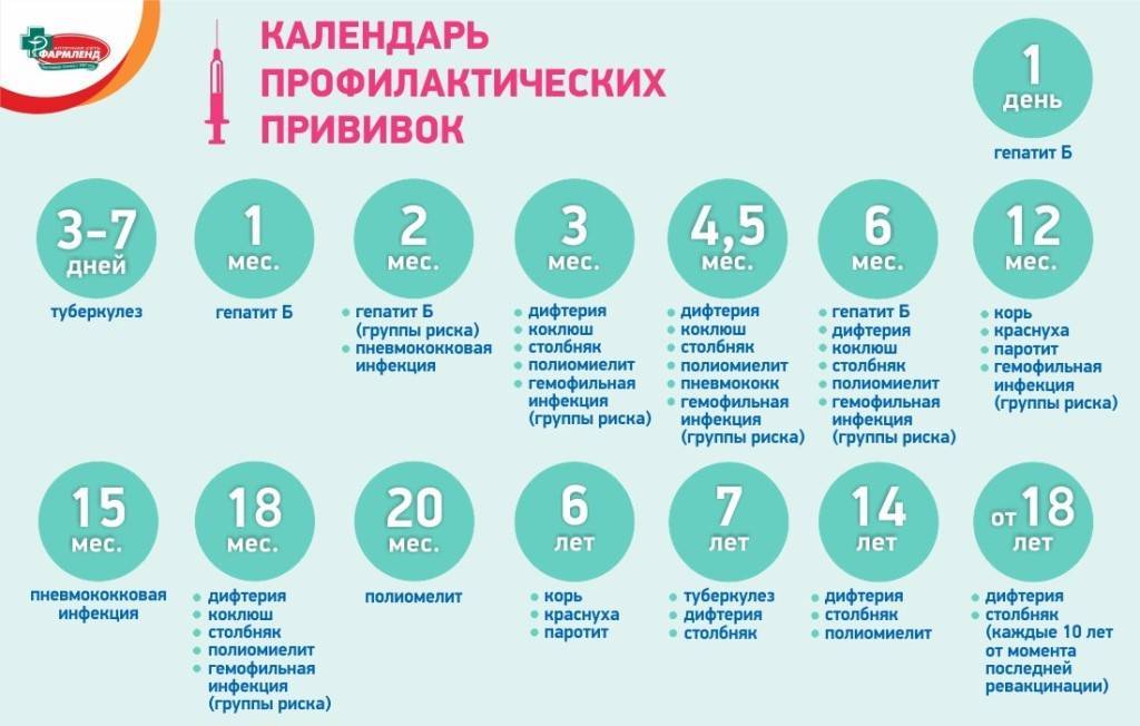 График вакцинации в первый год жизни ребенка согласно календарю ? плановых прививок