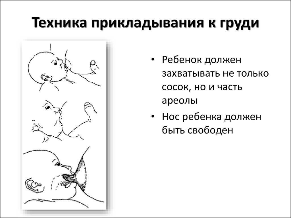 Подготовка к грудному вскармливанию