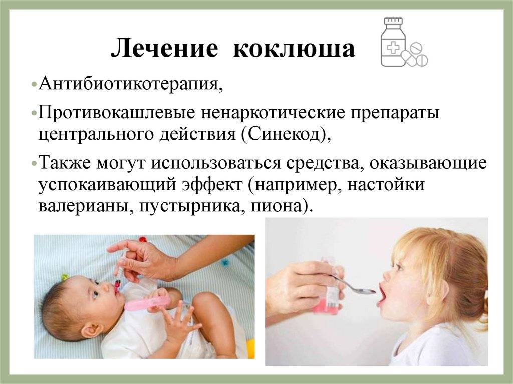 Коклюш: симптомы причины, как лечить | омнитус®