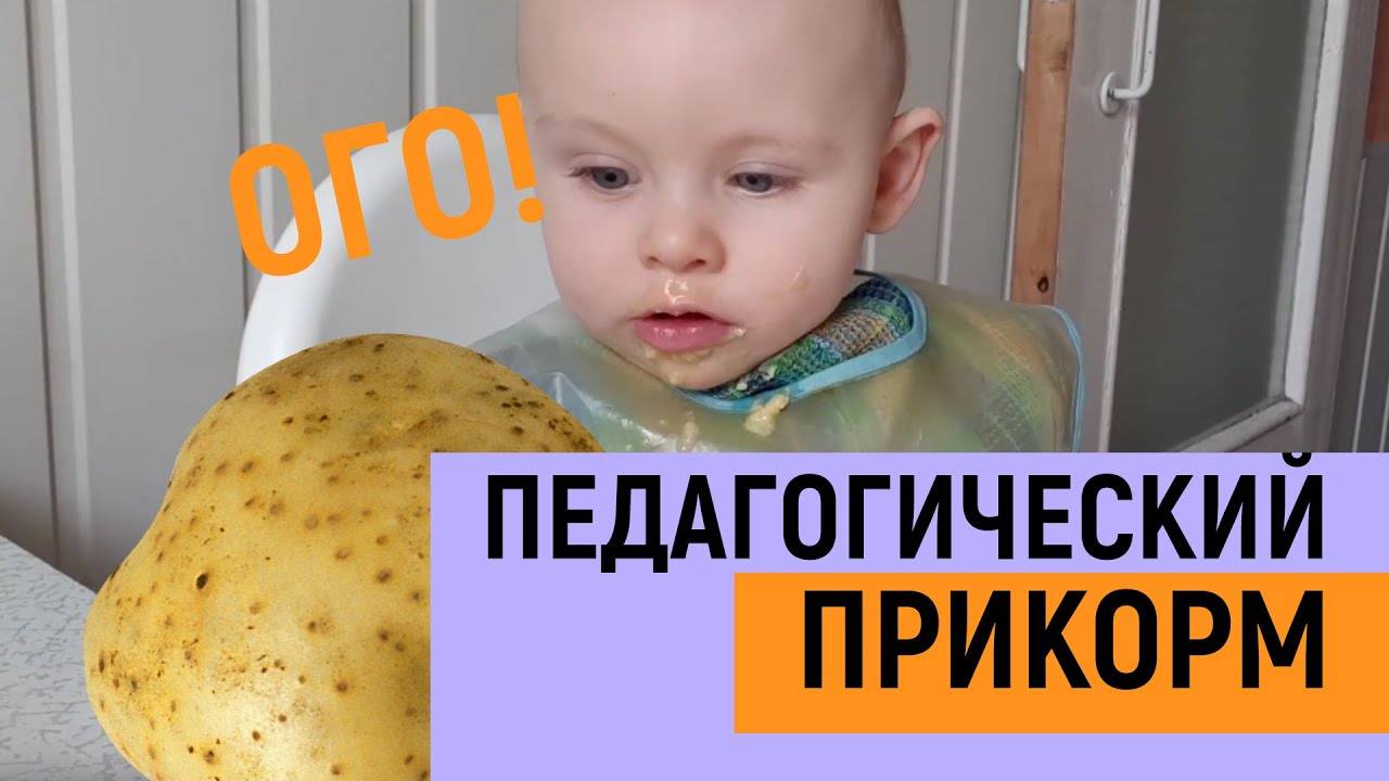 Картофельное пюре для грудничка: когда можно давать и как приготовить в домашних условиях
