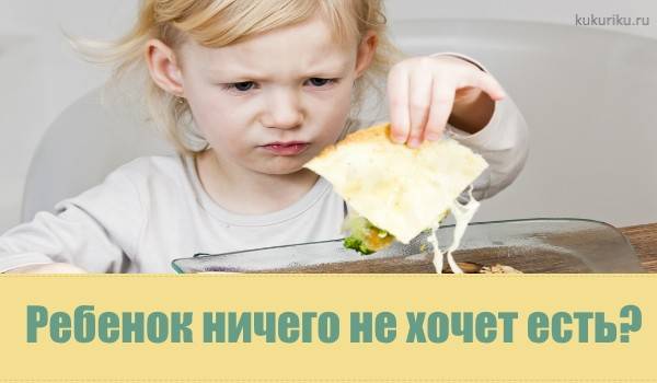 Плохой аппетит у ребенка в 2 года | уроки для мам
