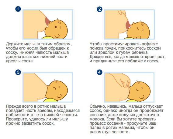 Как подготовить грудь к кормлению ребенка: во время беременности и при лактации