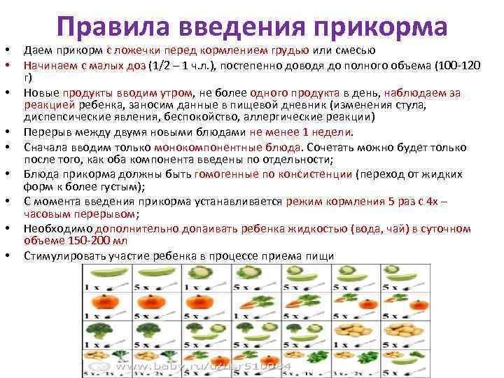 Как вводить прикорм - с чего и когда вводить прикорм