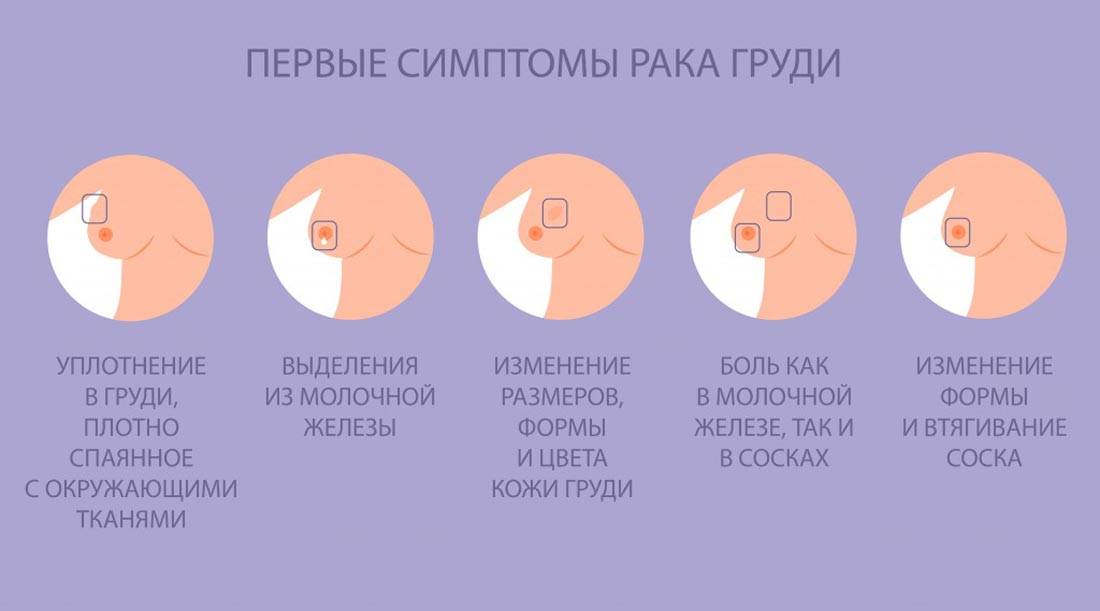 Признаки беременности на ранних сроках (до задержки, вероятные и достоверные)