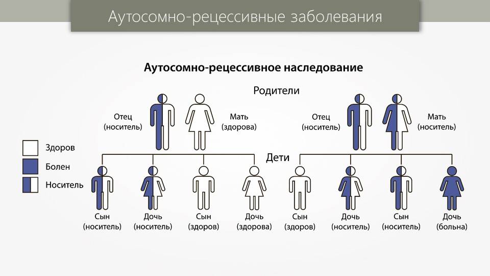 Что наследует ребенок от родителей