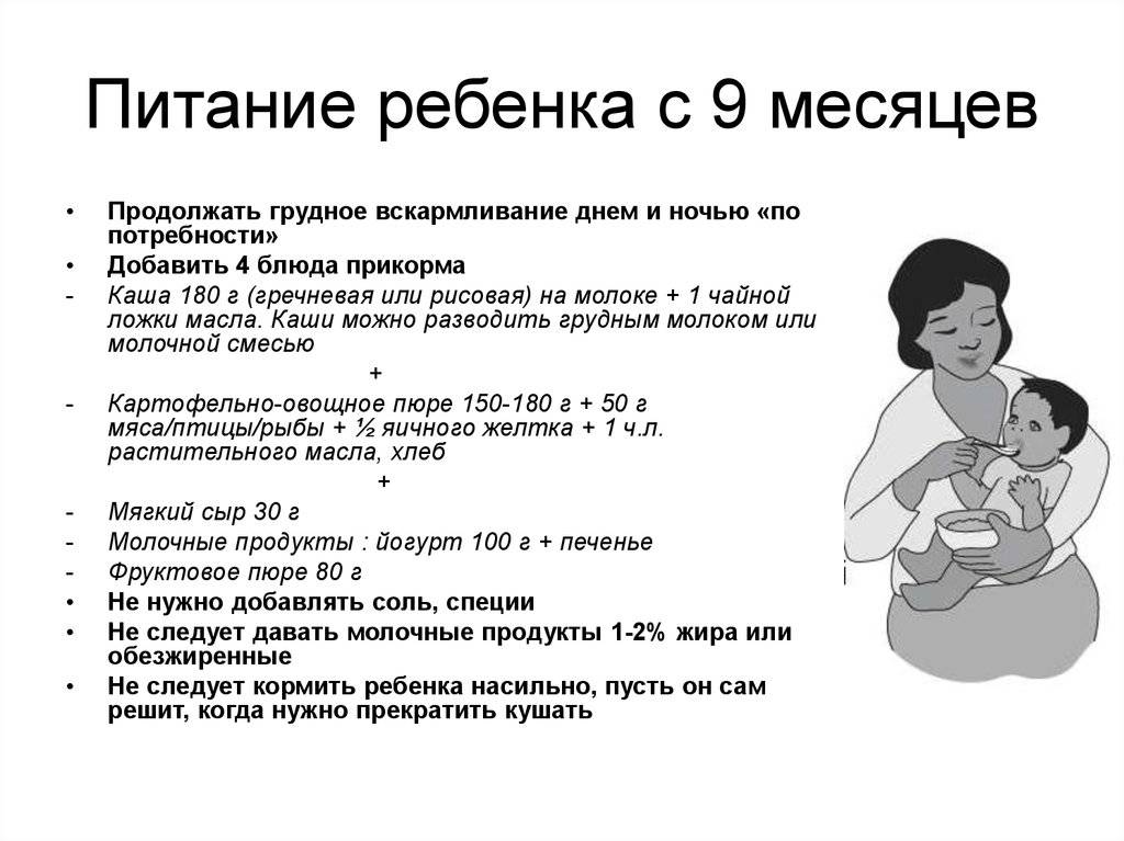Грудное вскармливание в 9 месяцев