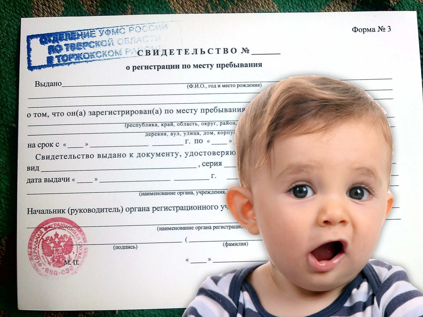 Прописка новорожденного ребенка: все, что нужно знать родителям
